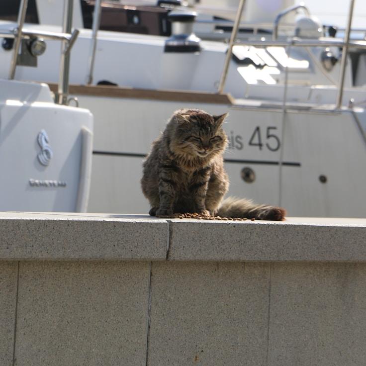 Yacht living snapshot